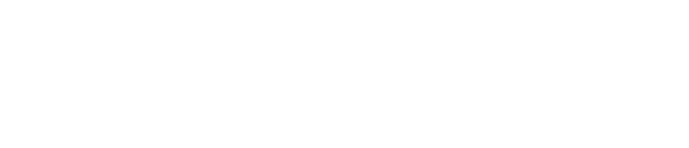 HSINHO Electronics